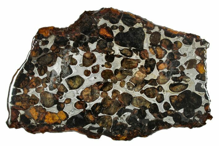 Sericho Pallasite Meteorite ( g) Slice - Kenya #335726